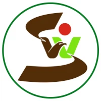 لینی  شونوی  بین المللی  تجارت  شرکت با مسئولیت محدود